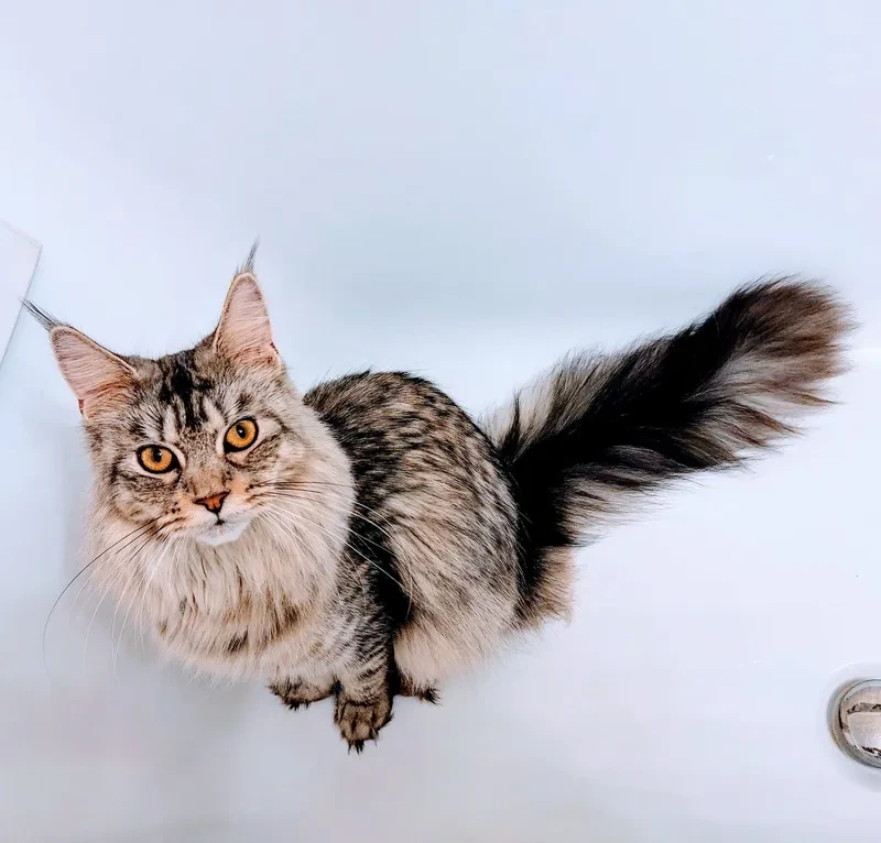 modelka na návštěvě